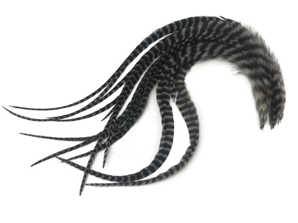 6 Pieces - XL Grey Dun Thick Long Grizzly Whiting Farm Rooster Saddle Hair Extension Feathers