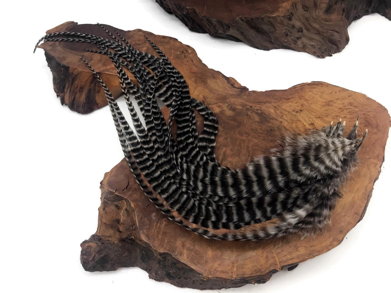 6 Pieces - XL Grey Dun Thick Long Grizzly Whiting Farm Rooster Saddle Hair Extension Feathers