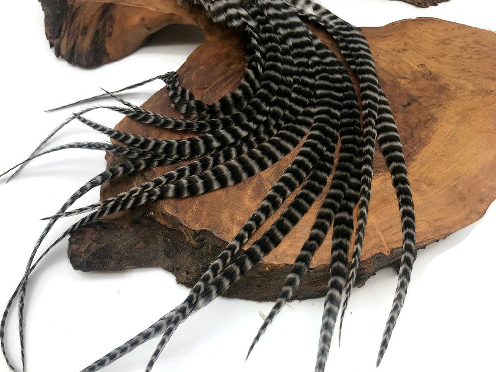 6 Pieces - Grey Dun Grizzly Thick Long Rooster Hair Extension Feathers