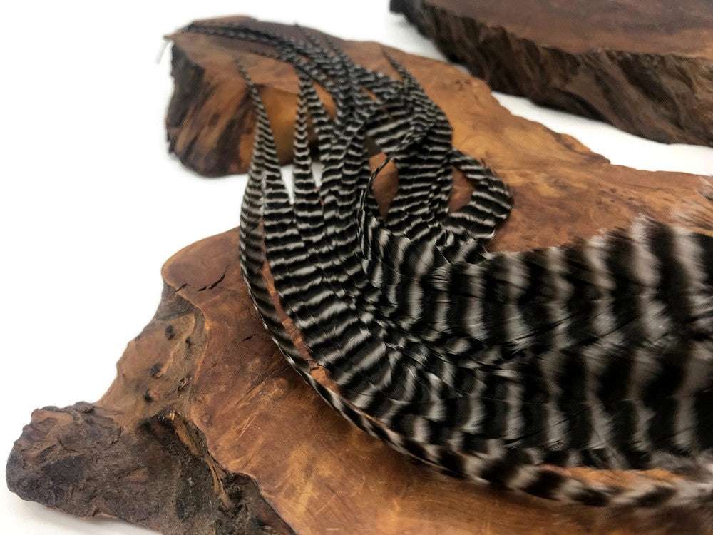 6 Pieces - XL Grey Dun Thick Long Grizzly Whiting Farm Rooster Saddle Hair Extension Feathers
