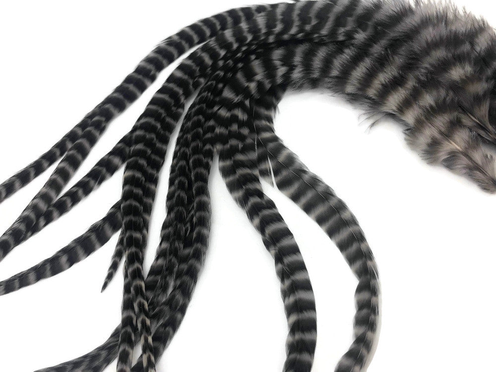 6 Pieces - Grey Dun Grizzly Thick Long Rooster Hair Extension Feathers