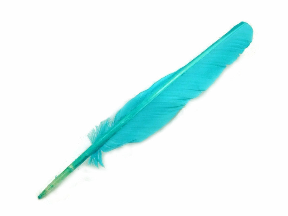 1/4 Lb - Light Blue Turkey Pointers Quill Large Wholesale Feathers (Bulk)