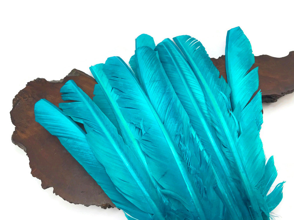 6 Pieces - Light Blue Turkey Pointers Primary Wing Quill Large Feathers