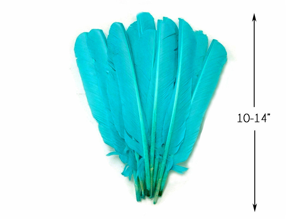 6 Pieces - Light Blue Turkey Pointers Primary Wing Quill Large Feathers