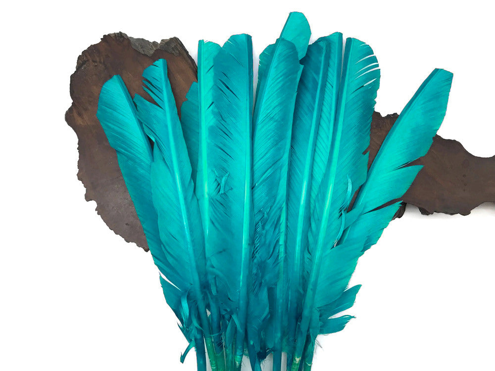 1/4 Lb - Light Blue Turkey Pointers Quill Large Wholesale Feathers (Bulk)