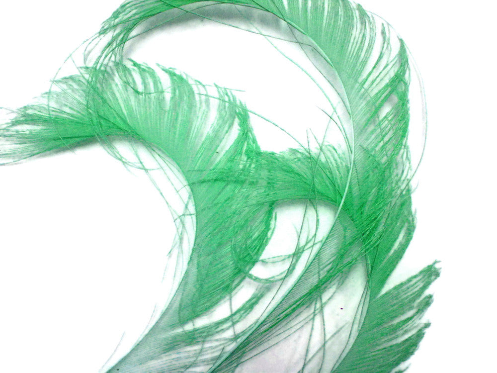 50 Pieces - Aqua Green Bleached & Dyed Peacock Swords Cut Wholesale Feathers (Bulk)