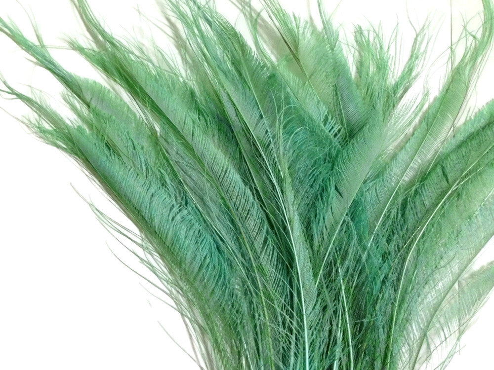 50 Pieces - Aqua Green Bleached & Dyed Peacock Swords Cut Wholesale Feathers (Bulk)