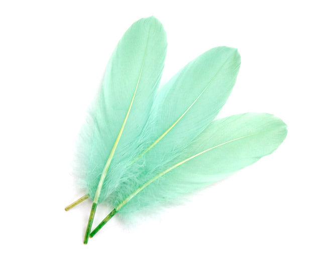 1/4 lbs. - Aqua Blue Goose Satinettes Pallet Soft Wing Quill Wholesale Feathers (Bulk)