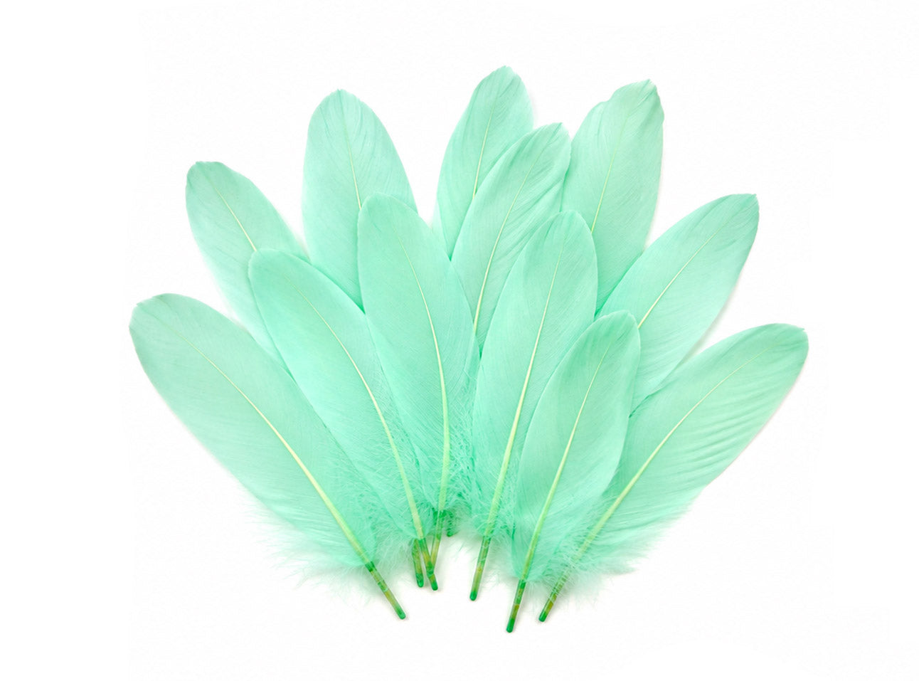 1/4 lbs. - Aqua Blue Goose Satinettes Pallet Soft Wing Quill Wholesale Feathers (Bulk)