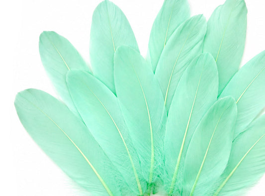 1/4 lbs. - Aqua Blue Goose Satinettes Pallet Soft Wing Quill Wholesale Feathers (Bulk)