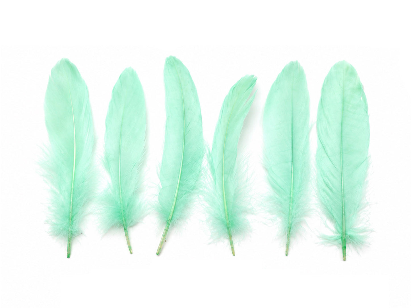 1 Pack - Aqua Green Goose Satinettes Pallet Soft Wing Quill Loose Feathers - 0.3 Oz