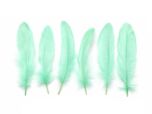 1 Pack - Aqua Green Goose Satinettes Pallet Soft Wing Quill Loose Feathers - 0.3 Oz