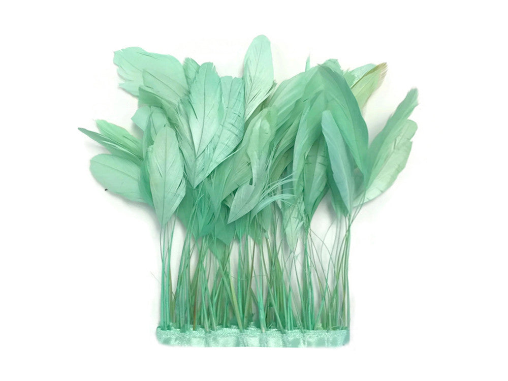 1 Dozen - Aqua Green Stripped Rooster Coque Tail Feathers