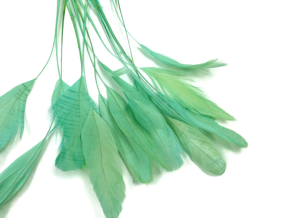 1 Dozen - Aqua Green Stripped Rooster Coque Tail Feathers