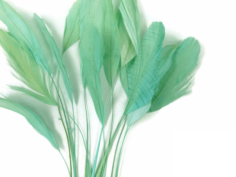 1 Dozen - Aqua Green Stripped Rooster Coque Tail Feathers