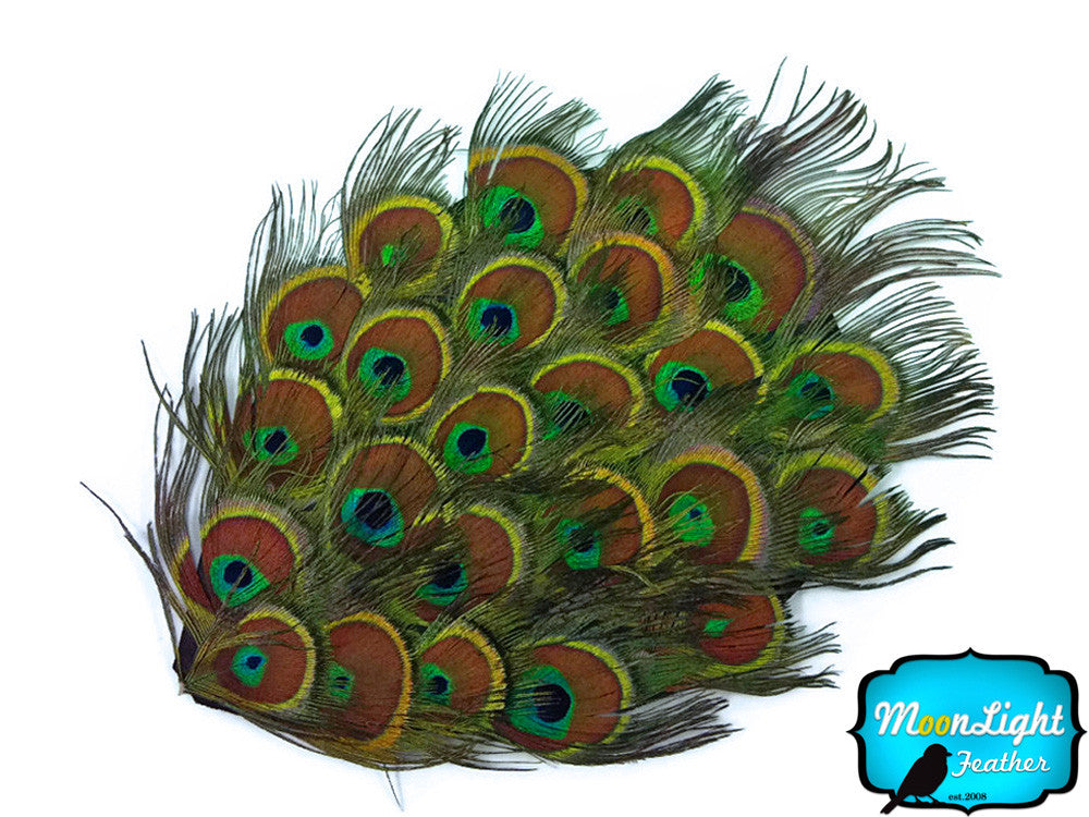 1 Piece - Natural Green Iridescent Peacock Tiny Eyes Handmade Feather Pad