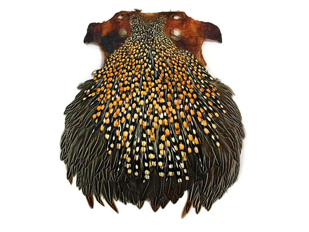 1 Piece - Top Grade Natural Gold Jungle Cock Cape Complete Skin Pelt With Feather (bulk)