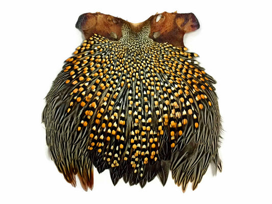 1 Piece - Top Grade Natural Gold Jungle Cock Cape Complete Skin Pelt With Feather (bulk)