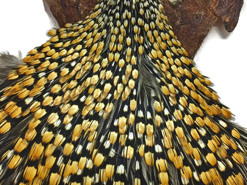 1 Piece - Top Grade Natural Gold Jungle Cock Cape Complete Skin Pelt With Feather (bulk)