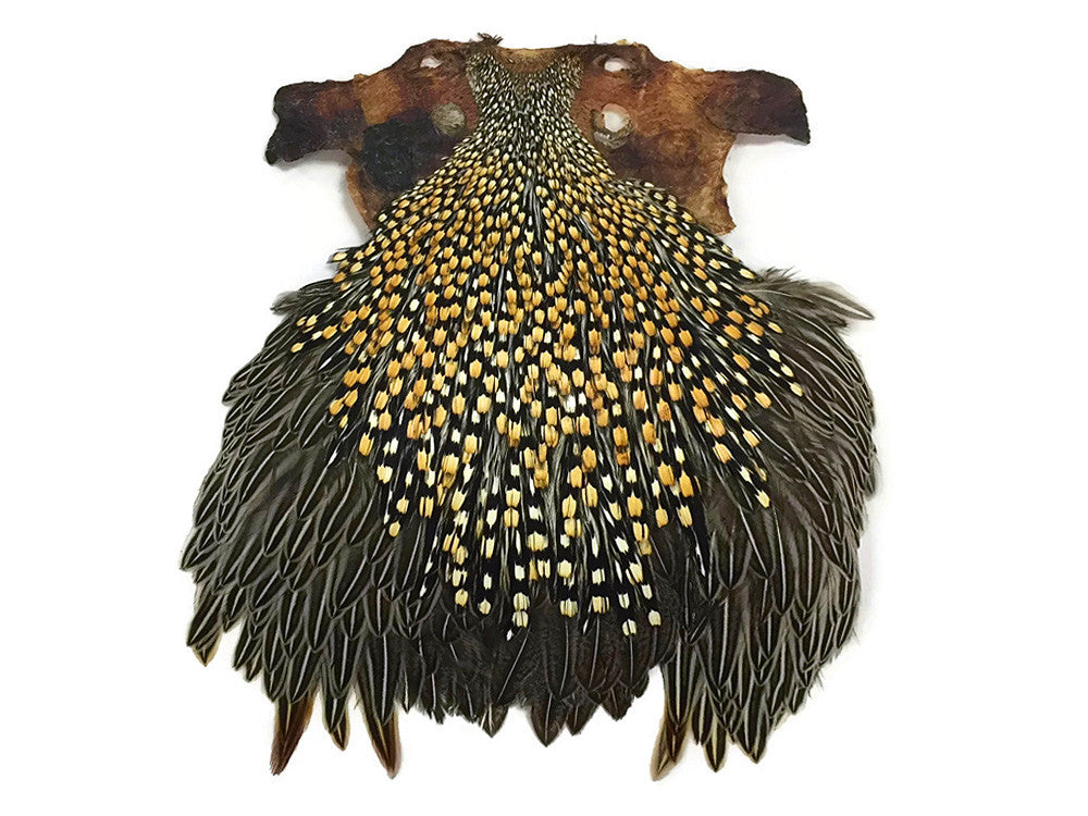 1 Piece - Top Grade Natural Gold Jungle Cock Cape Complete Skin Pelt With Feather (bulk)