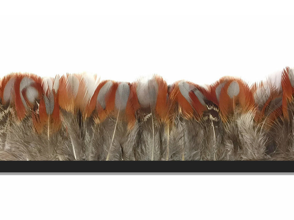 1 Yard - Natural Temminck Tragopan Breast Plumage Feather Trim