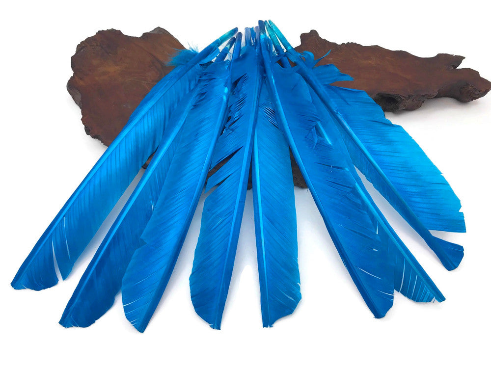 6 Pieces - Turquoise Blue Turkey Pointers Primary Wing Quill Large Feathers