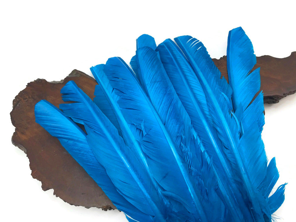 1/4 Lb - Turquoise Blue Turkey Pointers Primary Wing Quill Large Wholesale Feathers (Bulk)