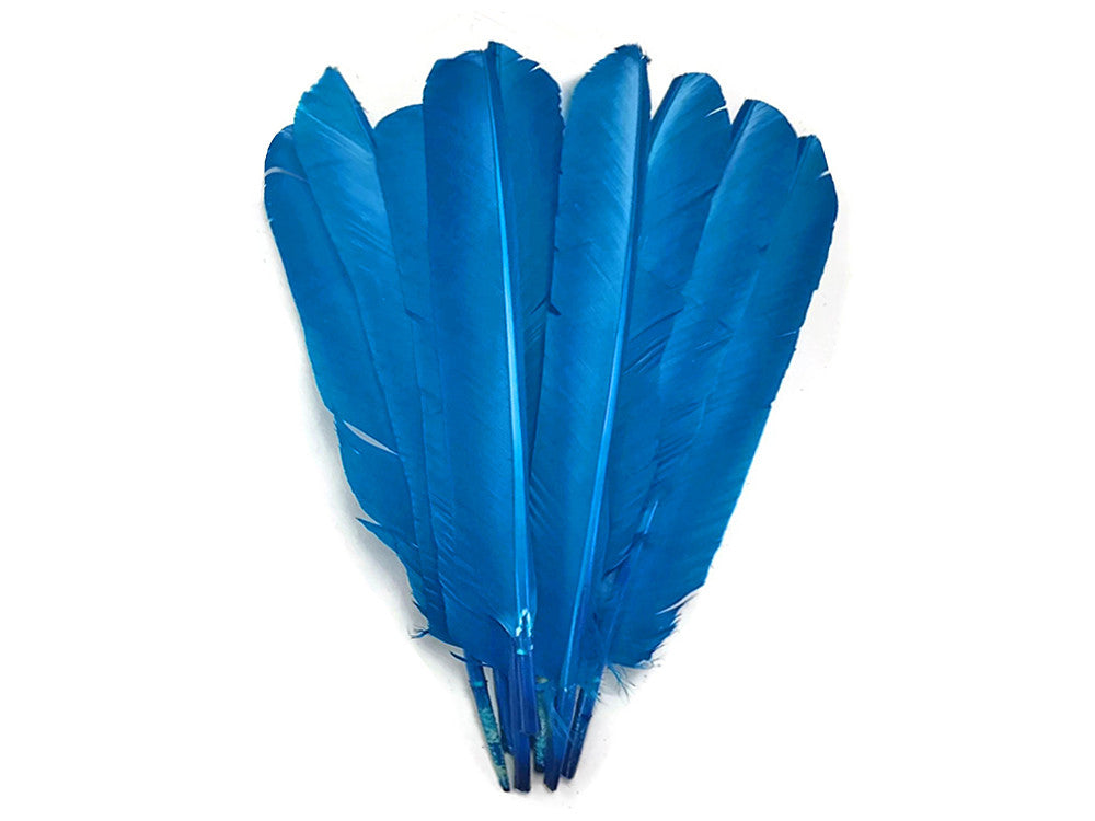 1/4 Lb - Turquoise Blue Turkey Pointers Primary Wing Quill Large Wholesale Feathers (Bulk)