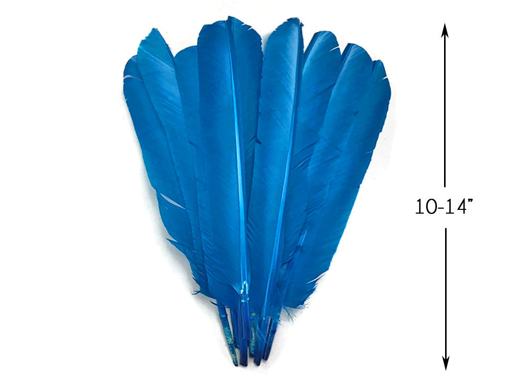 6 Pieces - Turquoise Blue Turkey Pointers Primary Wing Quill Large Feathers