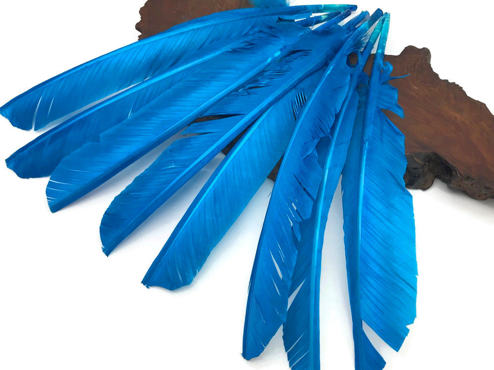 6 Pieces - Turquoise Blue Turkey Pointers Primary Wing Quill Large Feathers