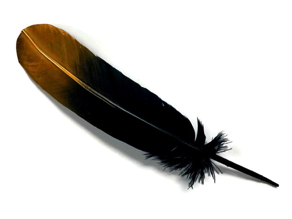 1/4 lbs. - Gold Metallic Spray Paint Over Black Tipped Tom Turkey Rounds Imitation "Eagle" Wholesale Feathers (Bulk)