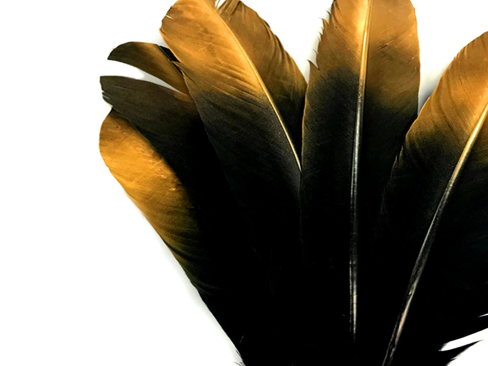 6 Pieces - Gold Tipped Metallic Spray Painted Black "Imitation Eagle" Turkey Tom Rounds Secondary Wing Quill Feathers