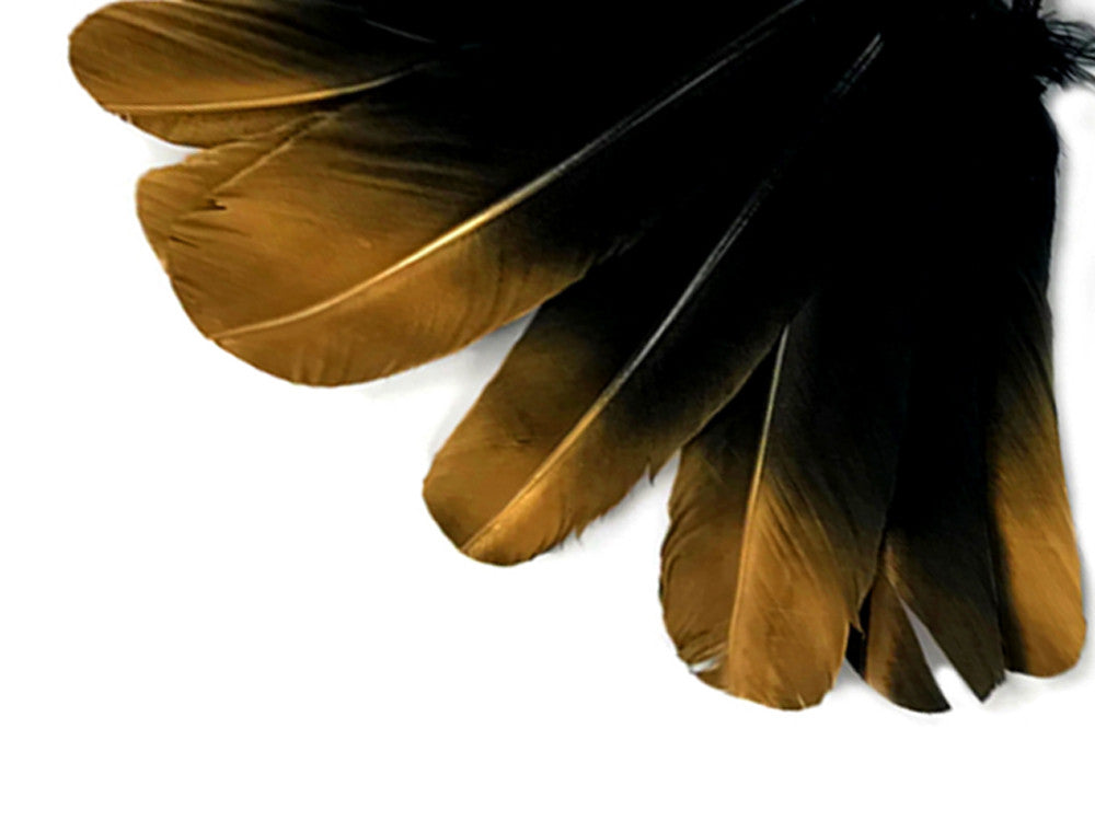 1/4 lbs. - Gold Metallic Spray Paint Over Black Tipped Tom Turkey Rounds Imitation "Eagle" Wholesale Feathers (Bulk)