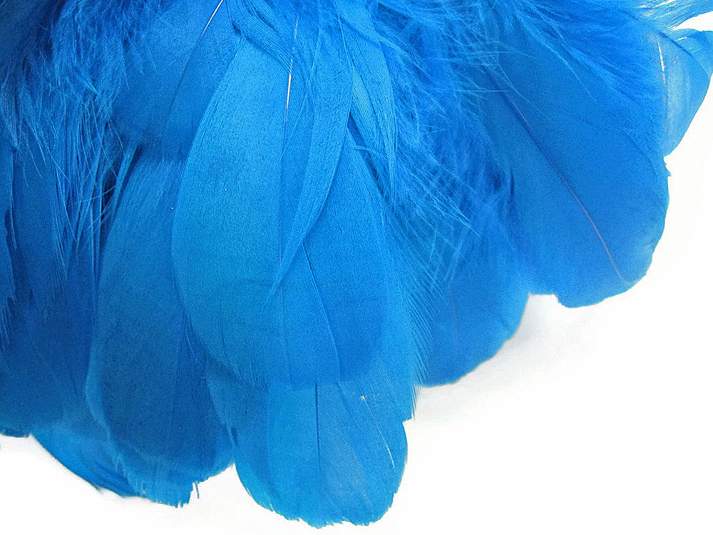 1/4 Lb - Turquoise Blue Goose Nagoire Wholesale Feathers (Bulk)