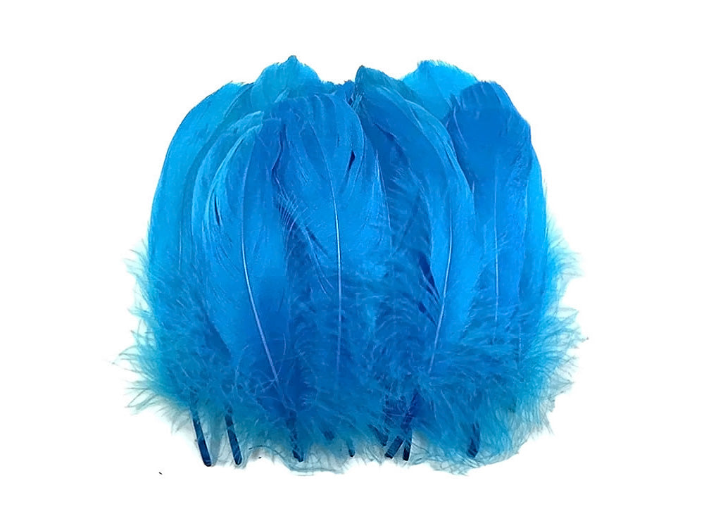 1 Pack - Turquoise Blue Goose Nagoire Loose Feather - 0.25 Oz.