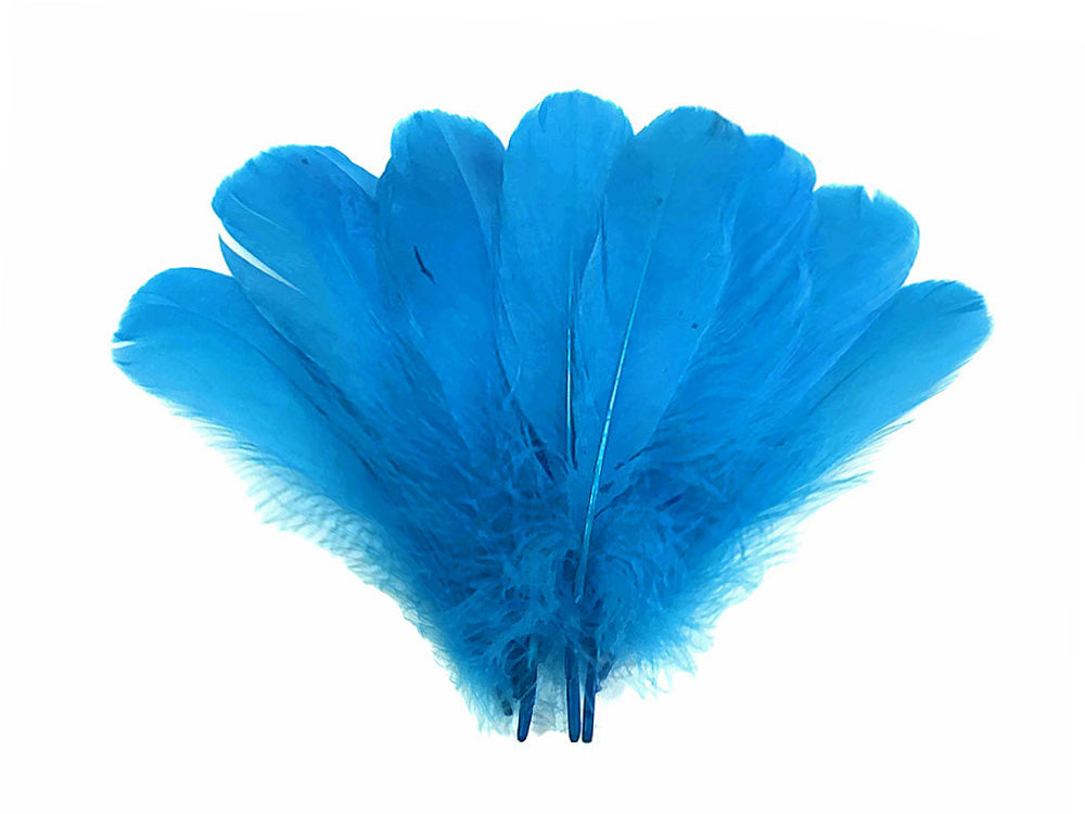 1 Pack - Turquoise Blue Goose Nagoire Loose Feather - 0.25 Oz.