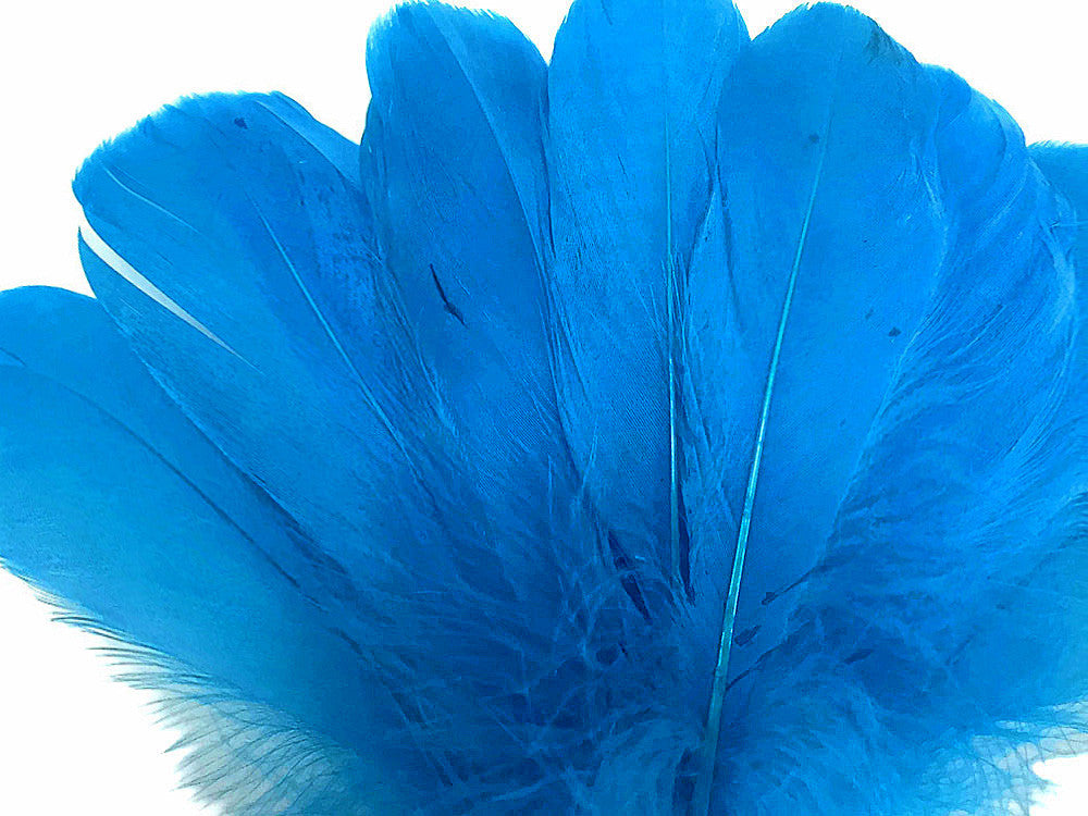 1/4 Lb - Turquoise Blue Goose Nagoire Wholesale Feathers (Bulk)