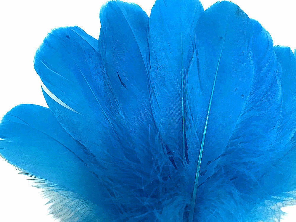 1 Pack - Turquoise Blue Goose Nagoire Loose Feather - 0.25 Oz.