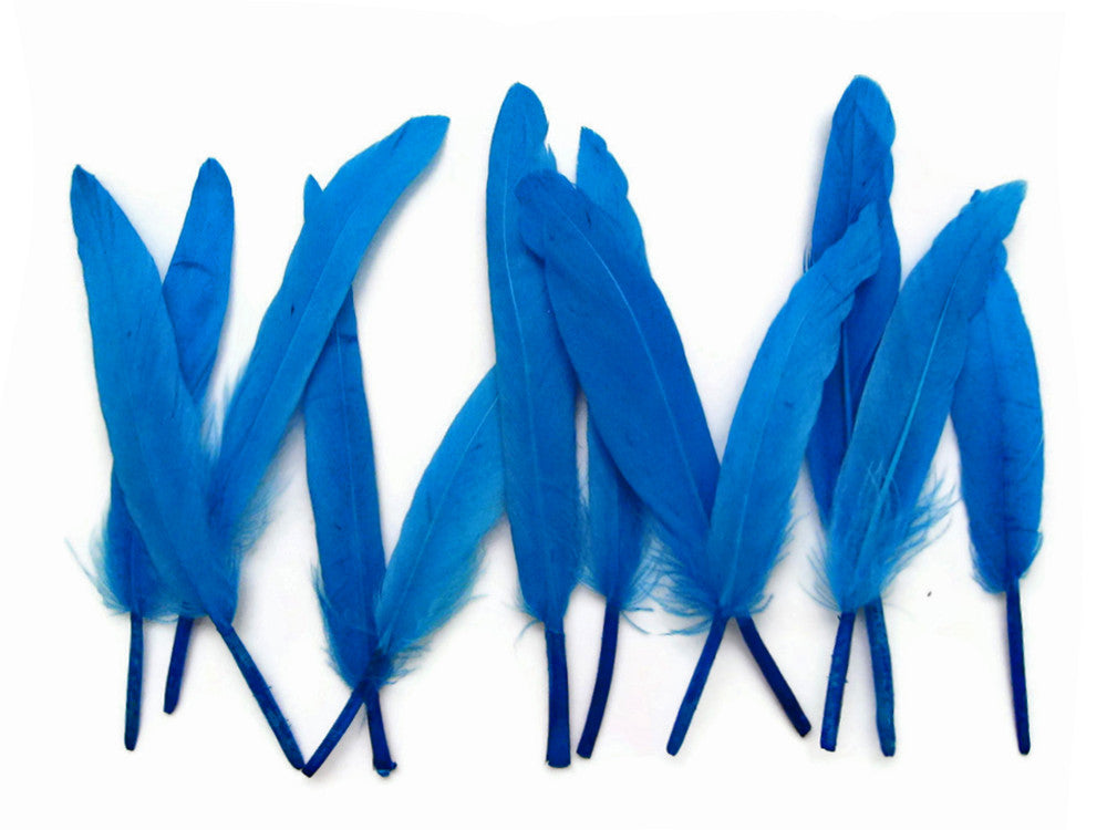 1 Pack - Turquoise Blue Dyed Duck Cochettes Loose Wing Quill Feather 0.30 Oz.