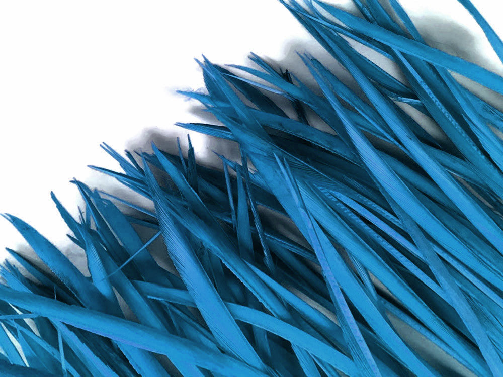 1 Yard - Turquoise Blue Goose Biots Stripped Wing Wholesale Feather Trim