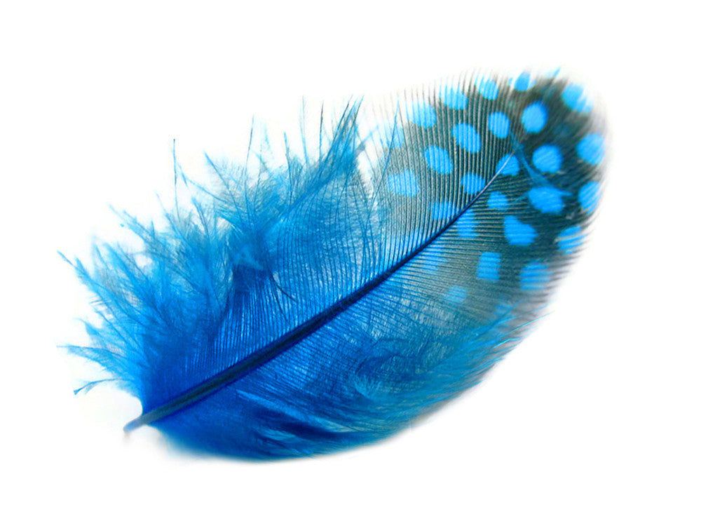 1/4 Lb - Turquoise Blue Guinea Hen Plumage Polka Dot Feathers Wholesale (Bulk)