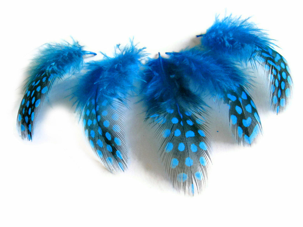 1 Pack - Turquoise Blue Guinea Hen Polka Dot Plumage Feathers 0.10 Oz.