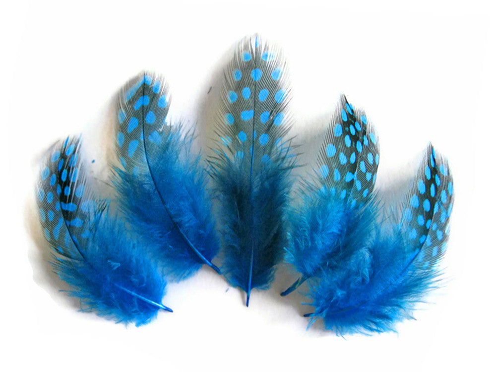 1/4 Lb - Turquoise Blue Guinea Hen Plumage Polka Dot Feathers Wholesale (Bulk)