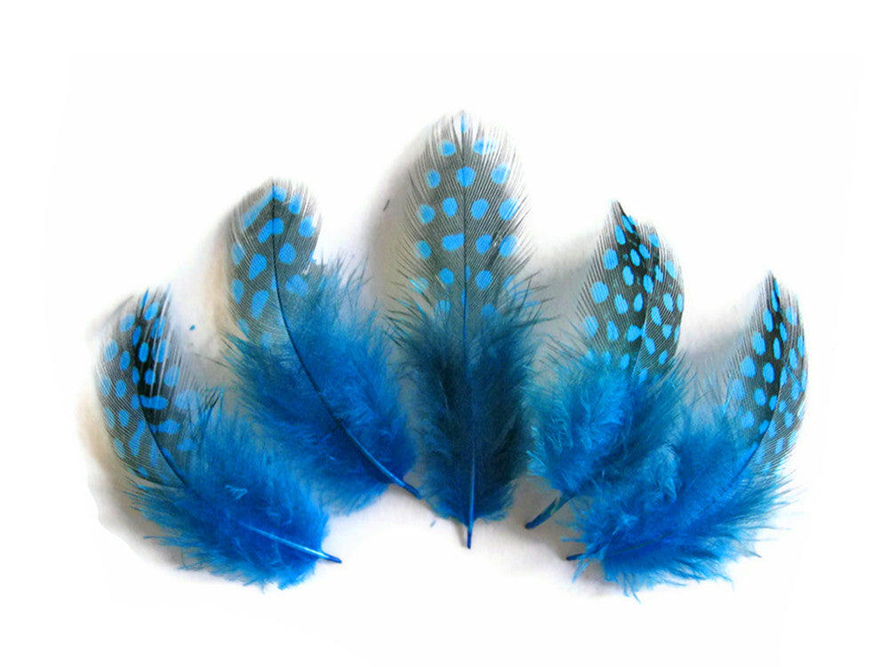 1 Pack - Turquoise Blue Guinea Hen Polka Dot Plumage Feathers 0.10 Oz.