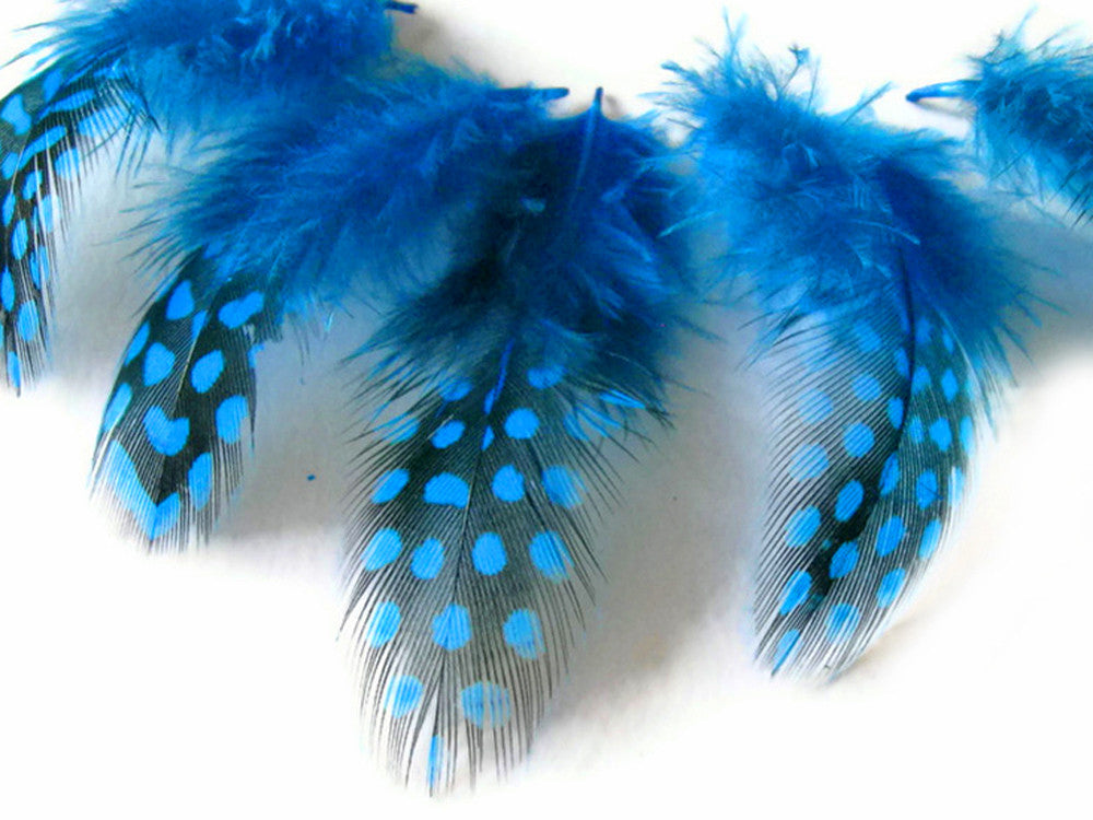 1 Pack - Turquoise Blue Guinea Hen Polka Dot Plumage Feathers 0.10 Oz.