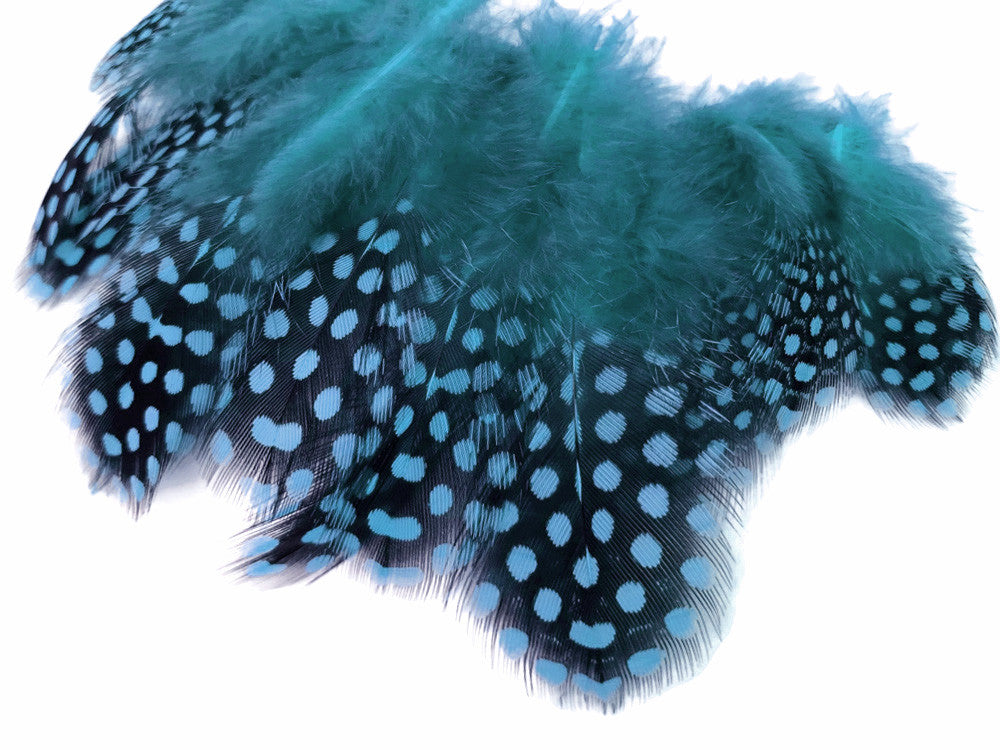 1/4 Lb - Turquoise Blue Guinea Hen Plumage Polka Dot Feathers Wholesale (Bulk)