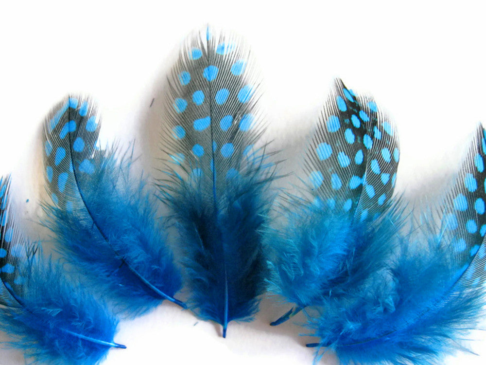 1 Pack - Turquoise Blue Guinea Hen Polka Dot Plumage Feathers 0.10 Oz.