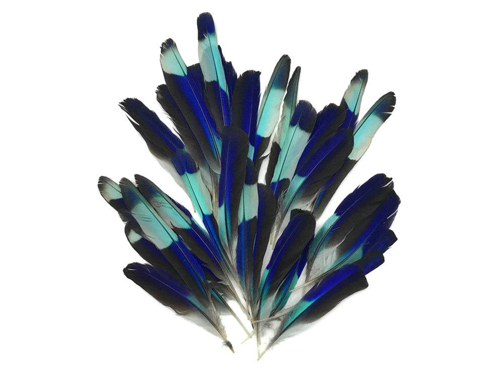 4 Pieces - Natural Turquoise Blue Indian Roller Exotic Wing Feathers
