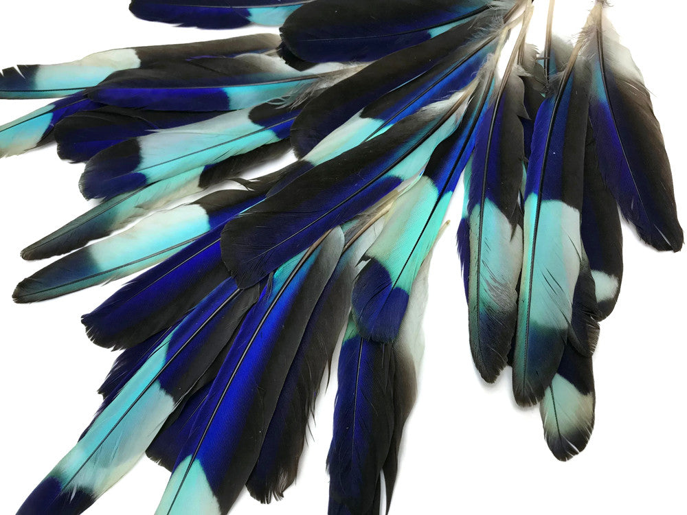 4 Pieces - Natural Turquoise Blue Indian Roller Exotic Wing Feathers