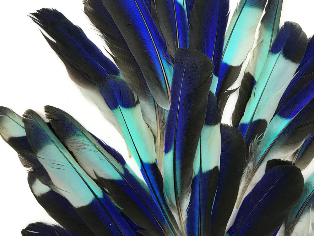 4 Pieces - Natural Turquoise Blue Indian Roller Exotic Wing Feathers